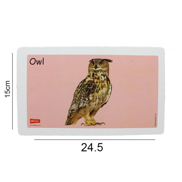 25 Early Education Flash Card