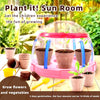 Plant Grow Sun Room Toy For Kids