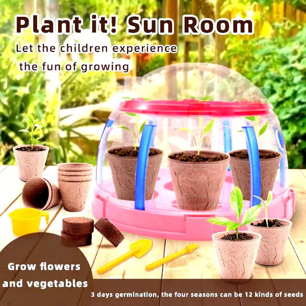 Plant Grow Sun Room Toy For Kids