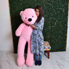 Soft And Huggable JumboTeddy Bear 160cm - Giant Teddy Bear