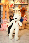 Soft And Huggable JumboTeddy Bear 160cm - Giant Teddy Bear
