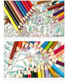 Faber Castell Classic Color Pencil