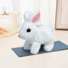 Walking Plush Rabbit With Music