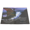 Hazrat Yunus AS in the Whale's Belly Story Book
