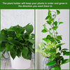 PLANT CLIMBING CLIPS (PACK OF 30)